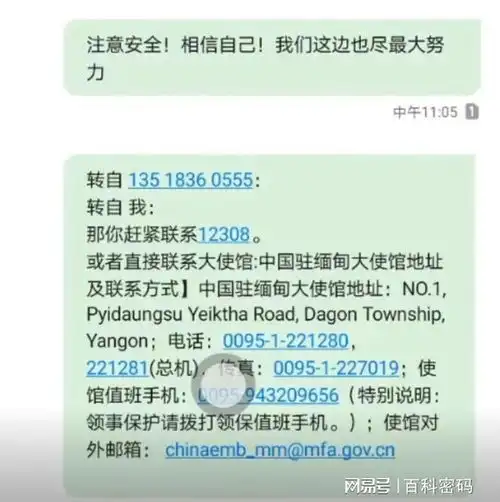 男子从电诈园跑入树林刨坑隐藏,国内民警150条短信助其逃离