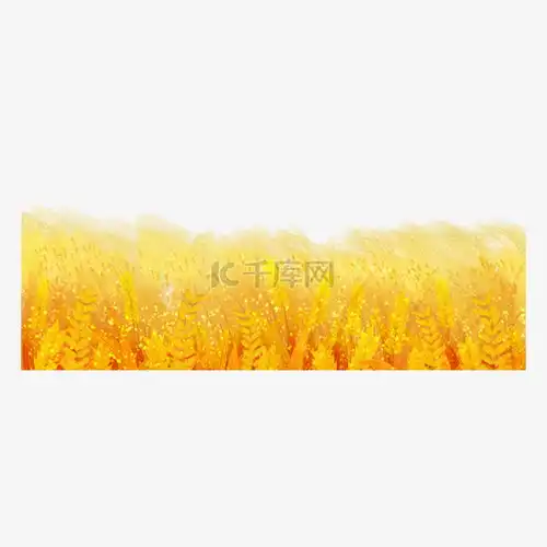 小麦成熟素材图片免费下载千库网
