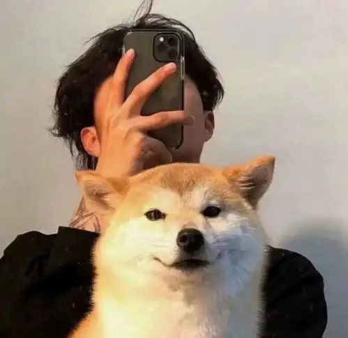 男生头像,生活不会让你不开心想太多才是