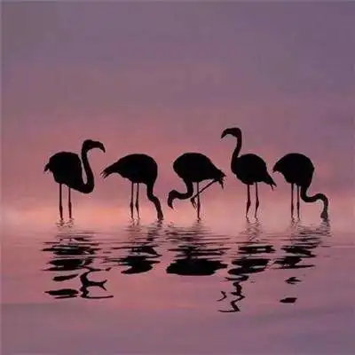 电竞体育官方下载