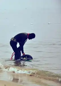 济南烟台一个人的自由旅行,济南旅游攻略马蜂窝