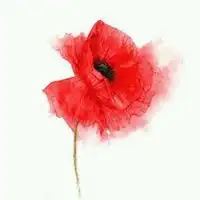 男生头像古风大红色微信头像图片大全