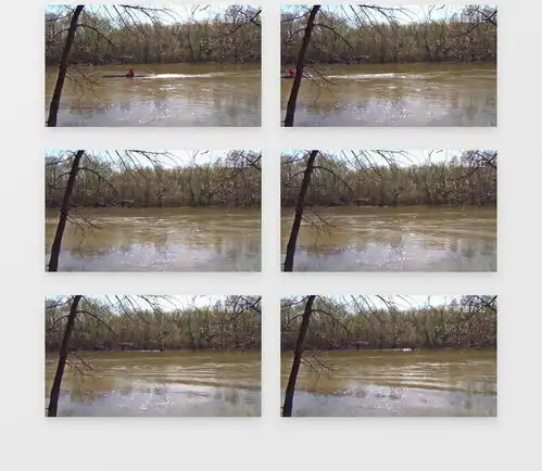 春天景观树木河水河流高清实拍视频素材下载mp4格式19201080像素熊猫办公