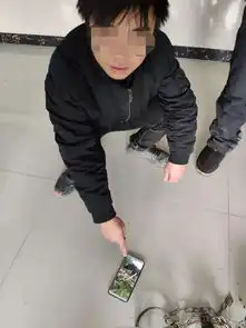 铜仁捉了只野猫,一男子发布上抖音吸引粉丝谁知竟把警察引来了