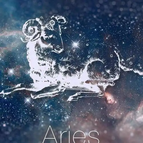女人最爱的星座男