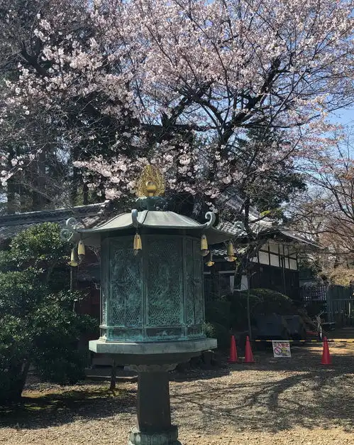 新年将至,去招财猫发源地为条友们祈福求财滞留东京见闻04
