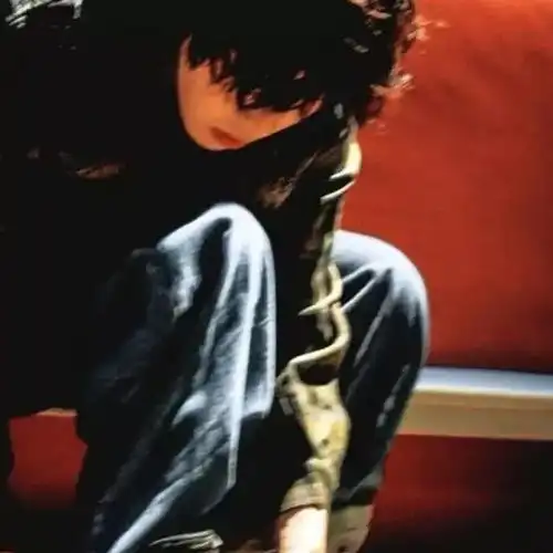 我一直在等,夕阳落下漫漫从前梦中网易订阅