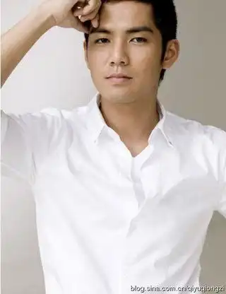 衬衣杀李易峰胡歌霍建华杨洋大牌男明星耍酷都爱白衬衫