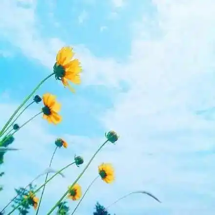 惟愿那一份隔着山水的情谊,温暖着彼此的岁月,惊艳着你我的时光