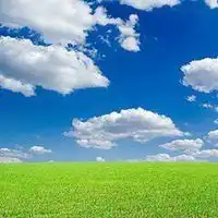 带花草和太阳微信头像太阳照耀下的花草头像