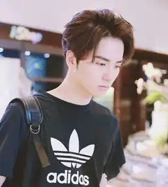 二十岁男生发型图片好看小鲜肉帅哥发型设计