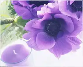 3种女人致命吸引力男人挡不住