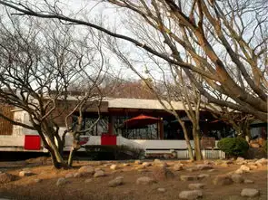 青岛再来时爱已存在这里