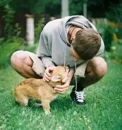 面对它手足无措从准确命名它开始改变吧孩子们的情感研究课