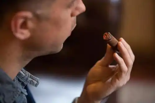衣橱情人品味雪茄的韵味和奢华,是男人足够实力和底蕴的体现高级定制