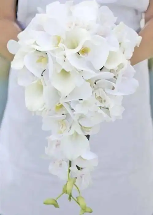 技优雅的马蹄莲是这样打造的