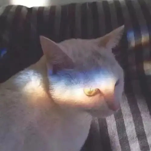 酷一点的人才会被记得久一点