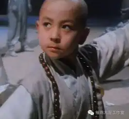 扒扒胖纸逆袭成男神的明星