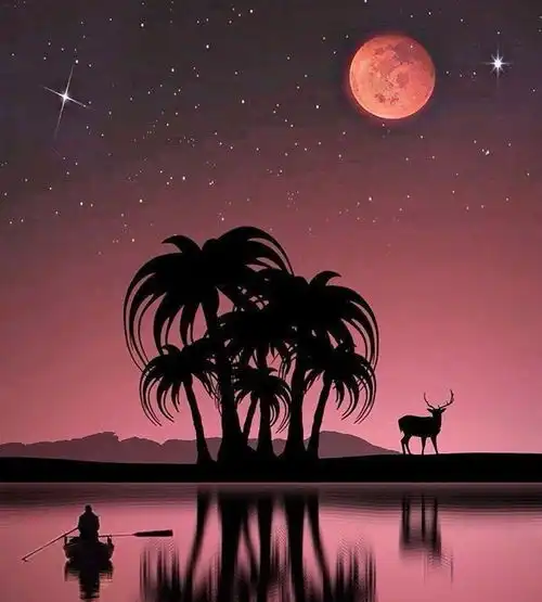 不要去考验爱情,因为它经不起考验