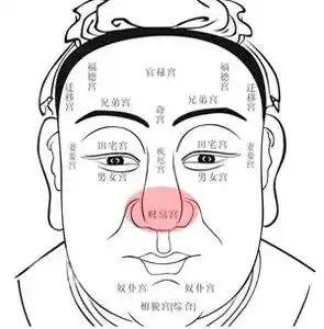 隆鼻不是消费而是一笔超高回报的投资