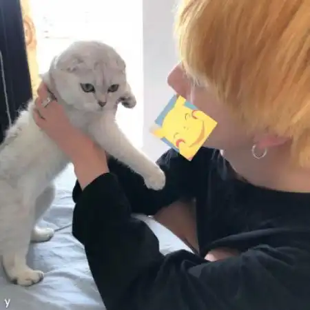 男生侧脸头像高冷无情,爱情死了心也死了