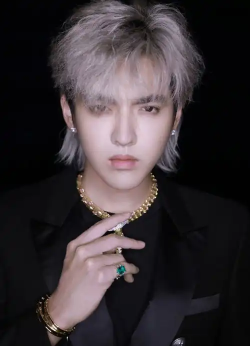 吴亦凡亮相时装周银发黑西装好似漫画男主却被吐糟暴发户气质