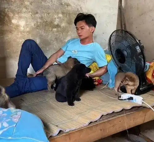 江西28岁男子被父母催婚网友结婚了也离婚没钱百事哀