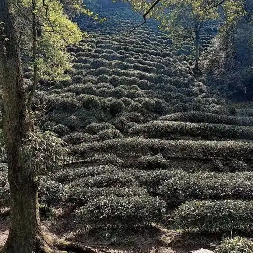 狮峰山门票,狮峰山游玩攻略360地图