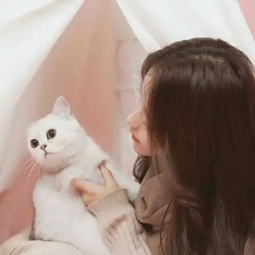 适合新手做的项目拼多多精细化店群,该怎么做,选品至关重要