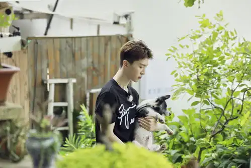 200807范丞丞做家务的男人2剧照更新全副武装带你种草家务神器