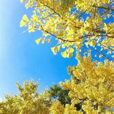 微信头像大全微信头像图片微信头像男生女生腾牛个性网