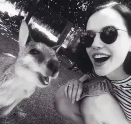 头像再多的怦然心动,也抵不住天长地久的消耗