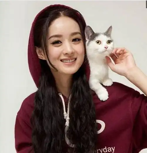 男人都想娶的女明星,柳岩排第五,杨幂才排第二,第一意想不到