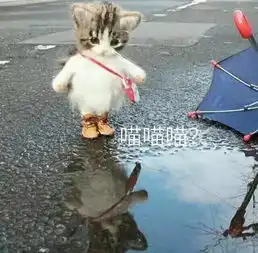 诺基亚8真机现身闲鱼卖这么贵跑分现身配色亮眼