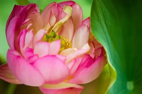 心胸宽广和气的4大生肖男,成熟稳重又上进,注定一生钱财不断