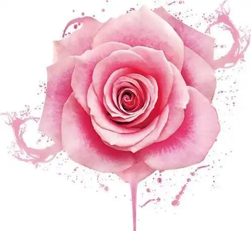 婚后不依靠男人的四大生肖女,自力更生,赚钱比男人都多