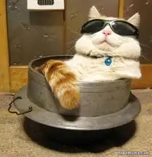 三个男人一台戏