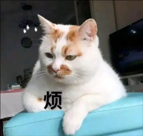 有了它,普通男生也能轻松逆袭,前女友都要回来找你复合