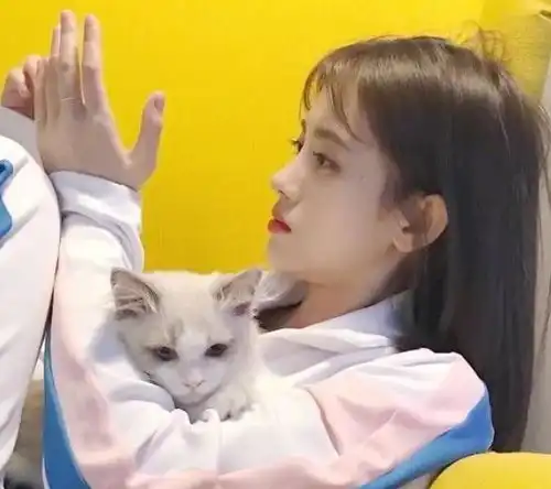 不物质只在乎感觉,却总是爱上渣男的几大星座女