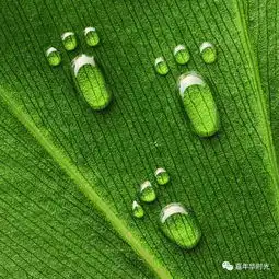 王加裕平凡的意义