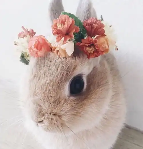 4月下旬起,属相贵人扶持,财运降临,诸事顺意