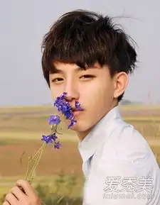 2015男生时尚发型9款短发帅气堪称模板