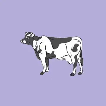 什么事都和钱有关,比女人还现实的2个生肖男