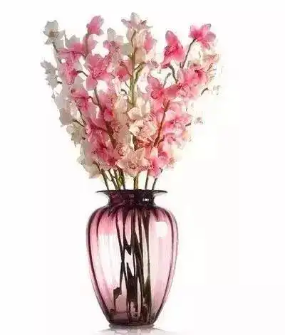 可爱的家,怎能没有一抹绿