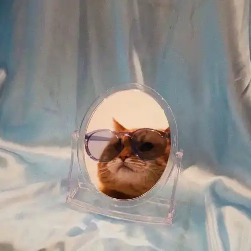 背景图酒能解决的事绝不能浪费眼泪