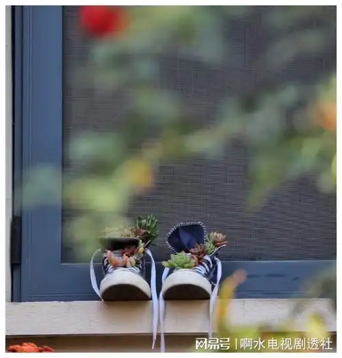 山东一男大学生,因拿破鞋养多肉走红,女同学太太太抠了