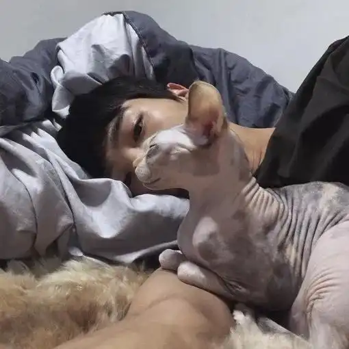 一批值得点击的男女,动漫个性微信头像