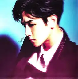 谁有exo这个系列的照片,求朴灿烈,边伯贤,金珉锡,张艺兴的