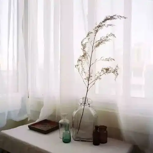 屋檐荐听岁月静好,现世安稳