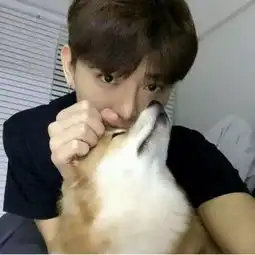 最新男生抱宠物微信头像大全我是真的动了心的爱你